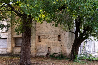 Parc de Cazalet de Pessac (6).